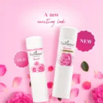 enchanteur perfumed talc romatic 50g